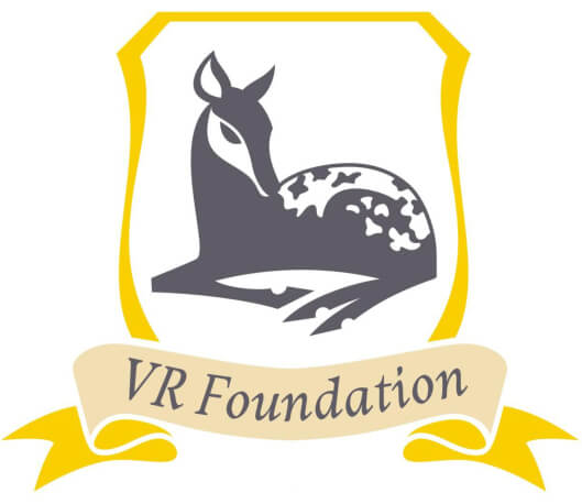 Vr Foundation Inc logo