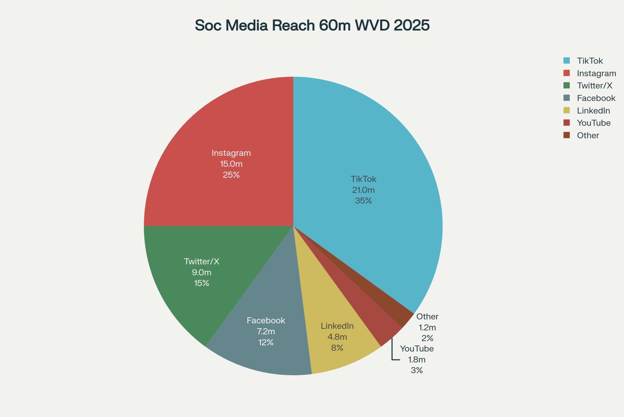 World Vitiligo Day 2025 Social and Media Metrics -3